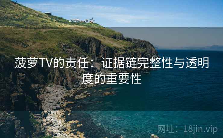 菠萝TV的责任：证据链完整性与透明度的重要性