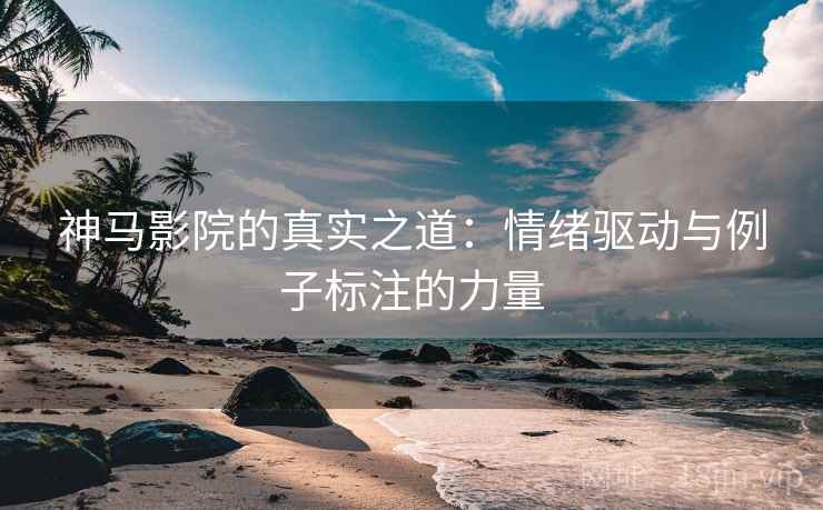 神马影院的真实之道：情绪驱动与例子标注的力量