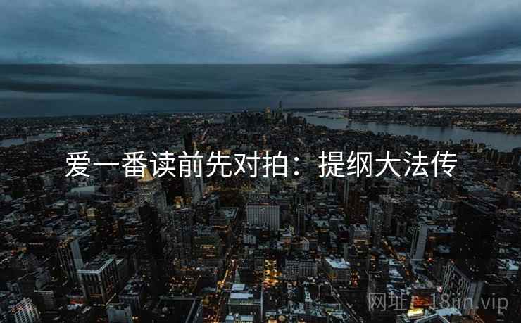 爱一番读前先对拍:提纲大法传
