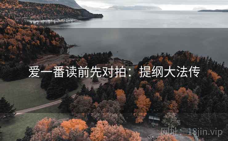 爱一番读前先对拍:提纲大法传