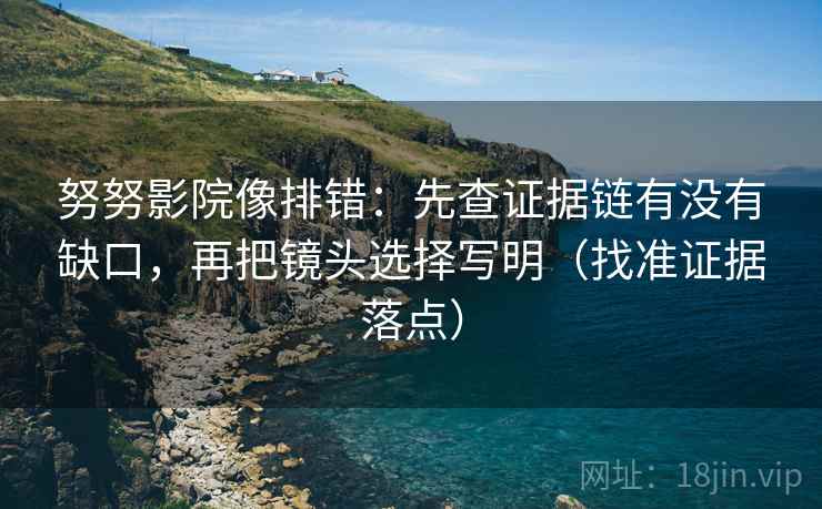 努努影院像排错：先查证据链有没有缺口，再把镜头选择写明（找准证据落点）