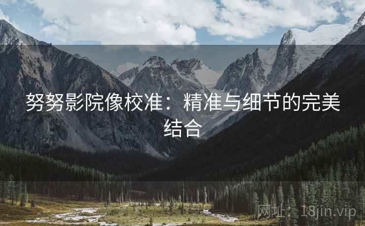 努努影院像校准:精准与细节的完美结合